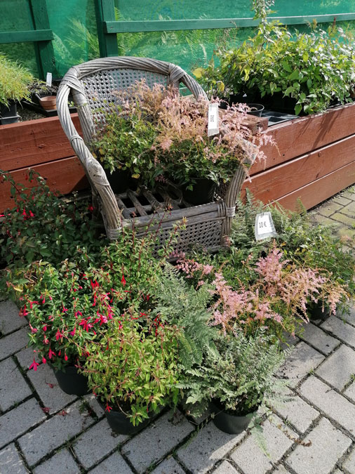 August_4_web