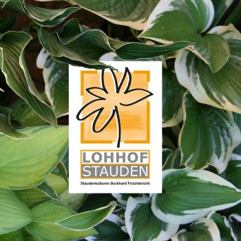 logo_lohhof